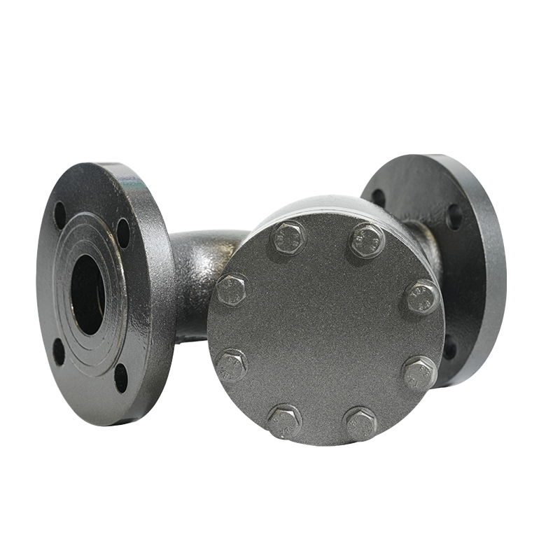 PN16 DN50/DN80 Tranged Tranged Iron Y-type sítko